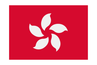 Legal Consultation & Representative