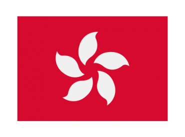 Legal Consultation & Representative